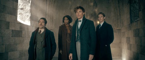 Fantastic Beasts 4 potential release date, cast and more