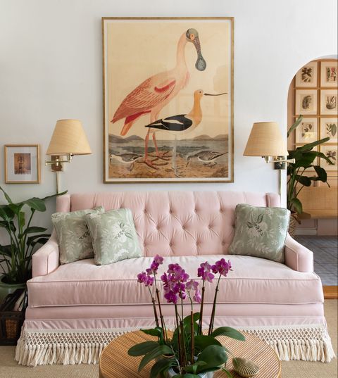 Living room, Room, Interior design, Wall, Pink, Furniture, Bird, Home, Table, Couch, 