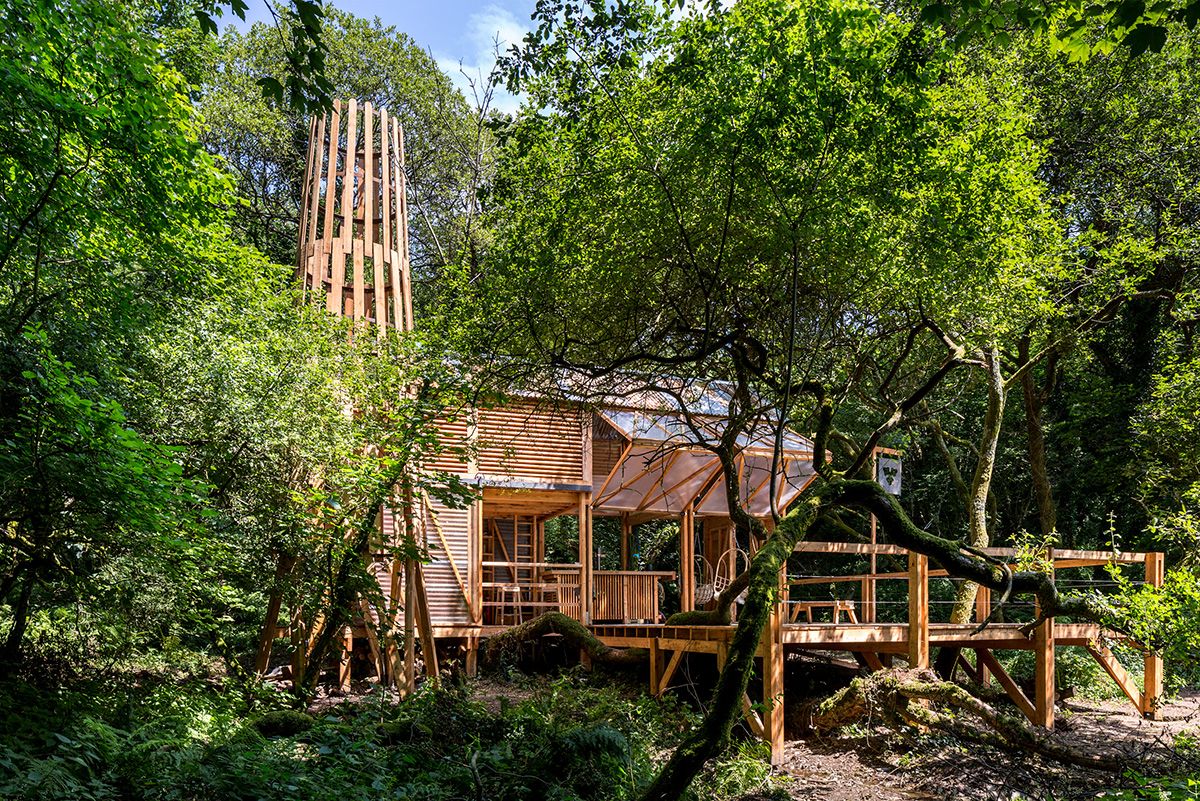 Una cabaña de madera camuflada en el paisaje