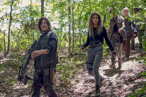 Daryl, The Walking Dead season 10, episode 8