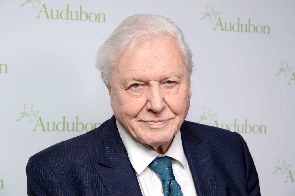 Sir David Attenborough Will Present 'Climate Change — The Facts' On The