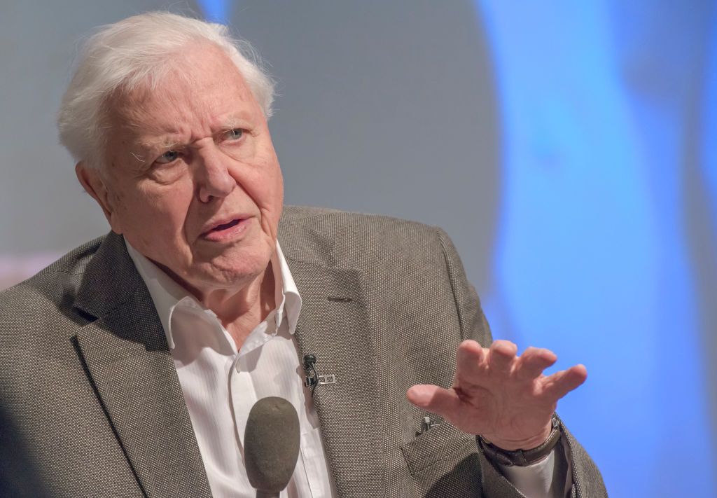 David Attenborough To Release New Book Called A Life On Our Planet