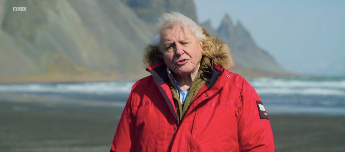 David Attenborough S Seven Worlds One Planet Went Down A Storm
