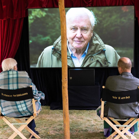 prince william and david attenborough