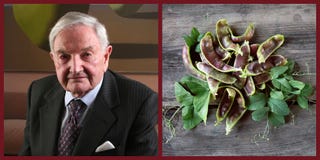 David Rockefeller's pea