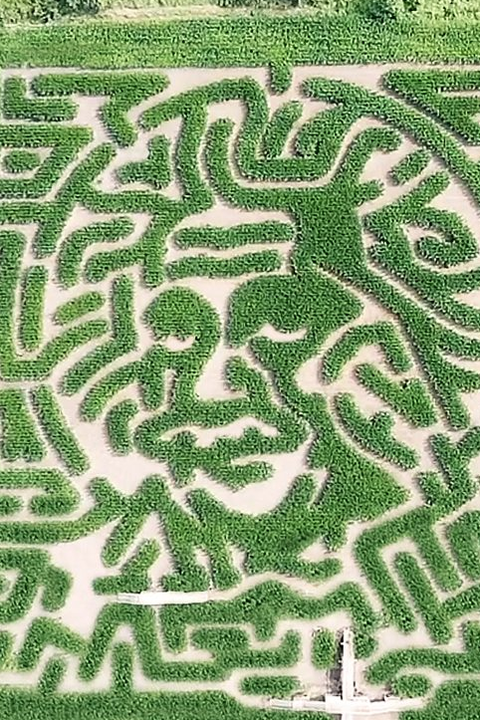 31 Best Corn Mazes Near Me - Best Haunted and Family ...