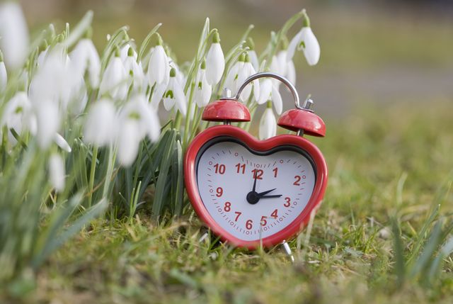 a red alarm clock is on the lawn between snowdrop