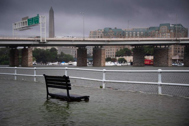 topshot   a park bench sits under water in east potomac park in washington, dc on july 8, 2019, after a storm caused flooding photo by jim watson  afp        photo credit should read jim watsonafp via getty images