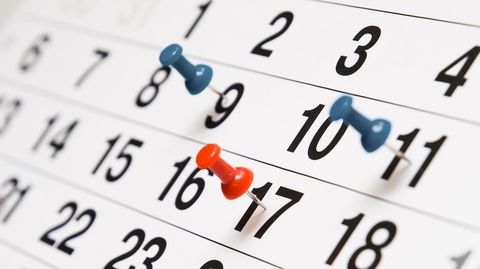 Norm Koppeling gek De 6 opmerkelijkste kalenders