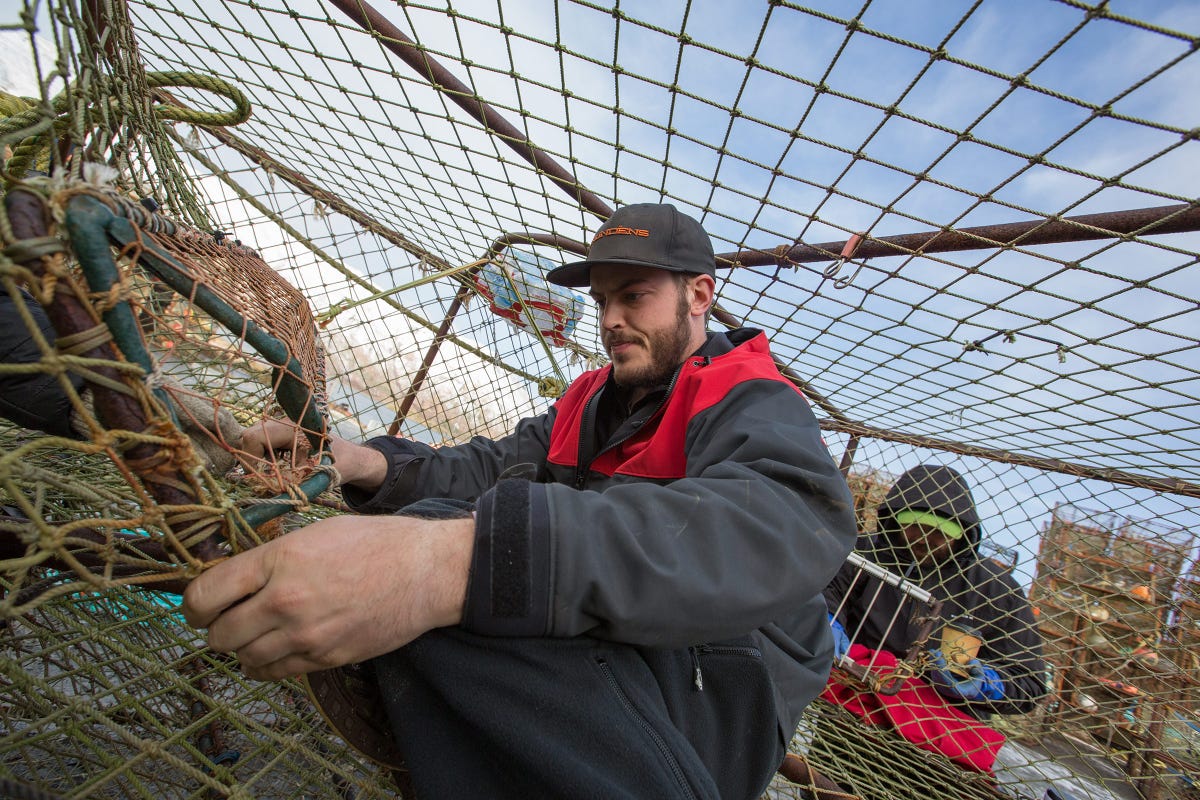 How Much Do Deadliest Catch Deckhands Make? - Deckhand's Earnings Might Surprise You