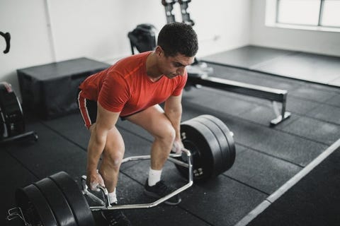Deadlifting a Weighted Bar Deadlifting a Weighted Bar