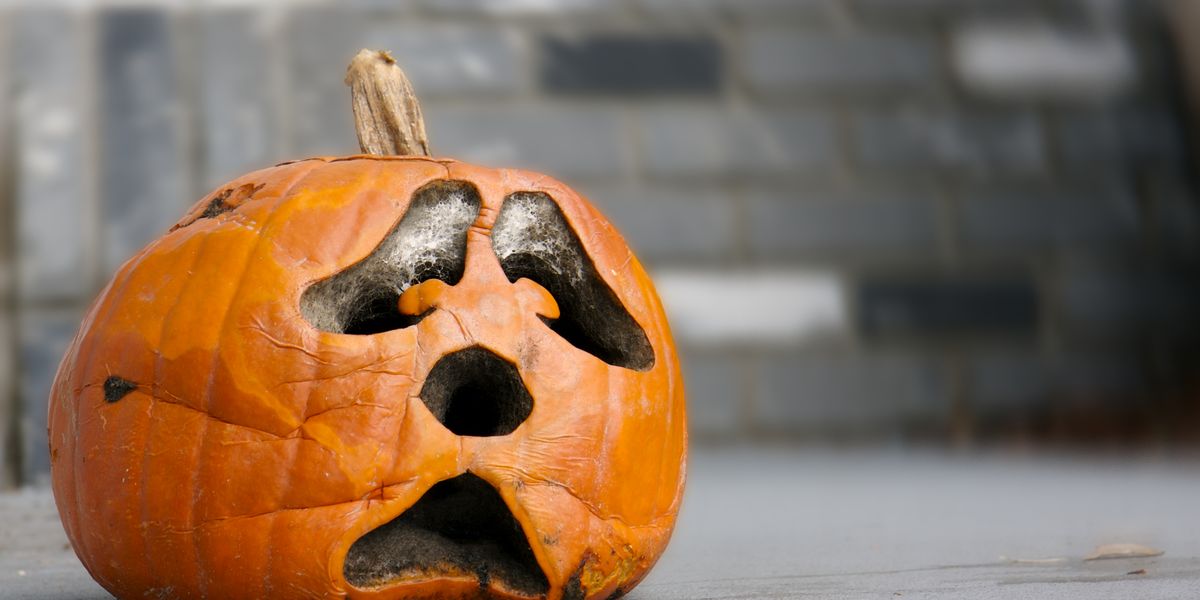 How to Keep Pumpkins From Rotting - Preserving a Carved Pumpkin