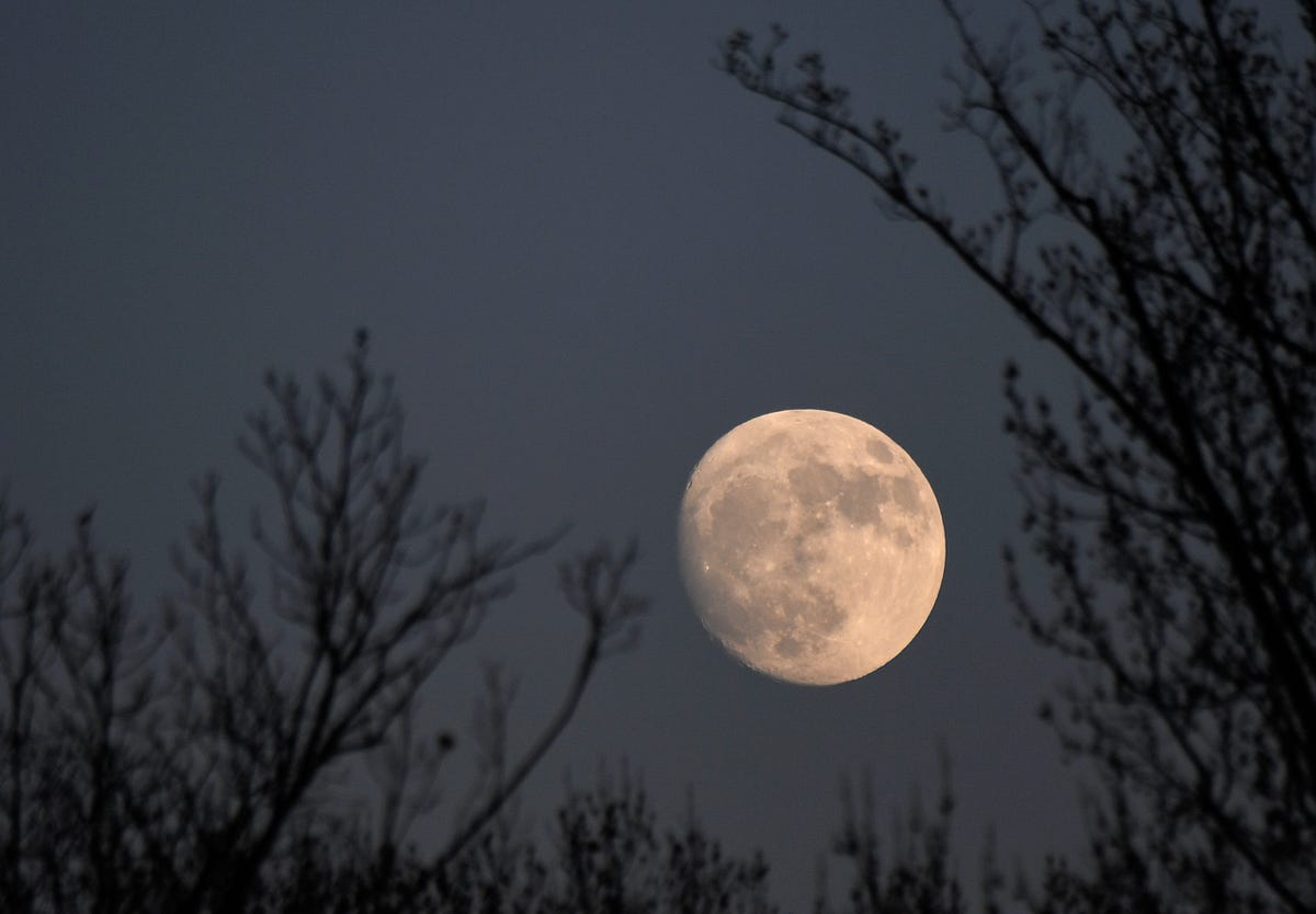 Cold Moon Where To See December 2020 Full Moon