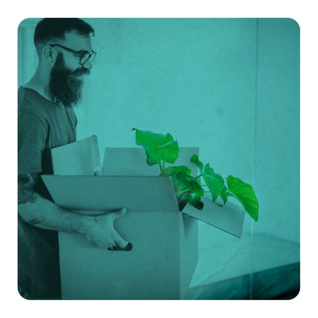 un hombre porta una caja con una planta