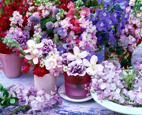Guía para decorar con plantas por colores