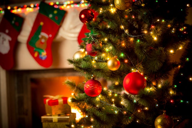 When Should You Put Up Your Christmas Tree In 2020 Perfect decoration for cake, sprinkle powdered sugar to make this unique design. you put up your christmas tree in 2020