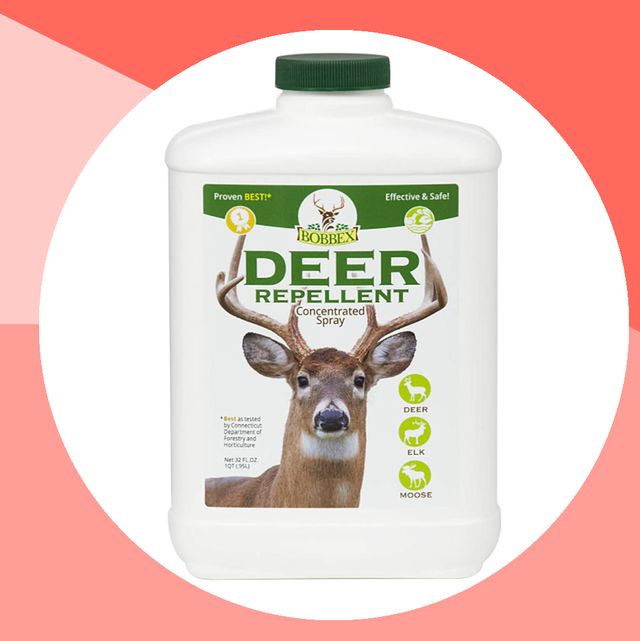 deer repellents