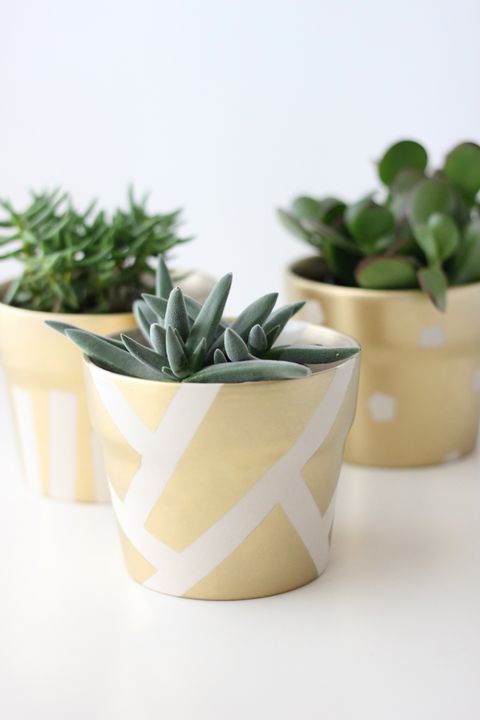 two gold pots with white stripes on them and one with hexagonal shapes all have succulent plants inside