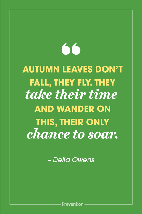 60 Best Fall Quotes 2021 - Inspiring Sayings About Autumn