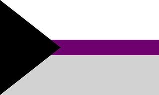 demisexual bandera