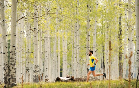 Personas en la naturaleza, Árbol, Naturaleza, Verde, Amarillo, Bosque, Planta leñosa, Ambiente natural, Bosque, Primavera,