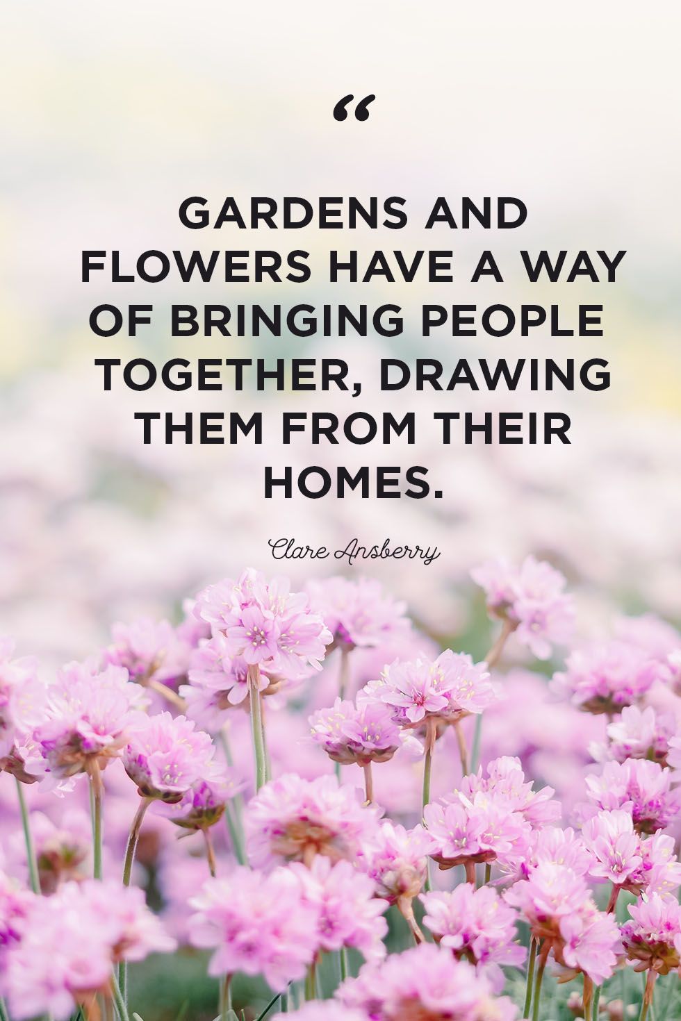 58 Inspirational Flower Quotes - Cute Flower Sayings About Life and Love