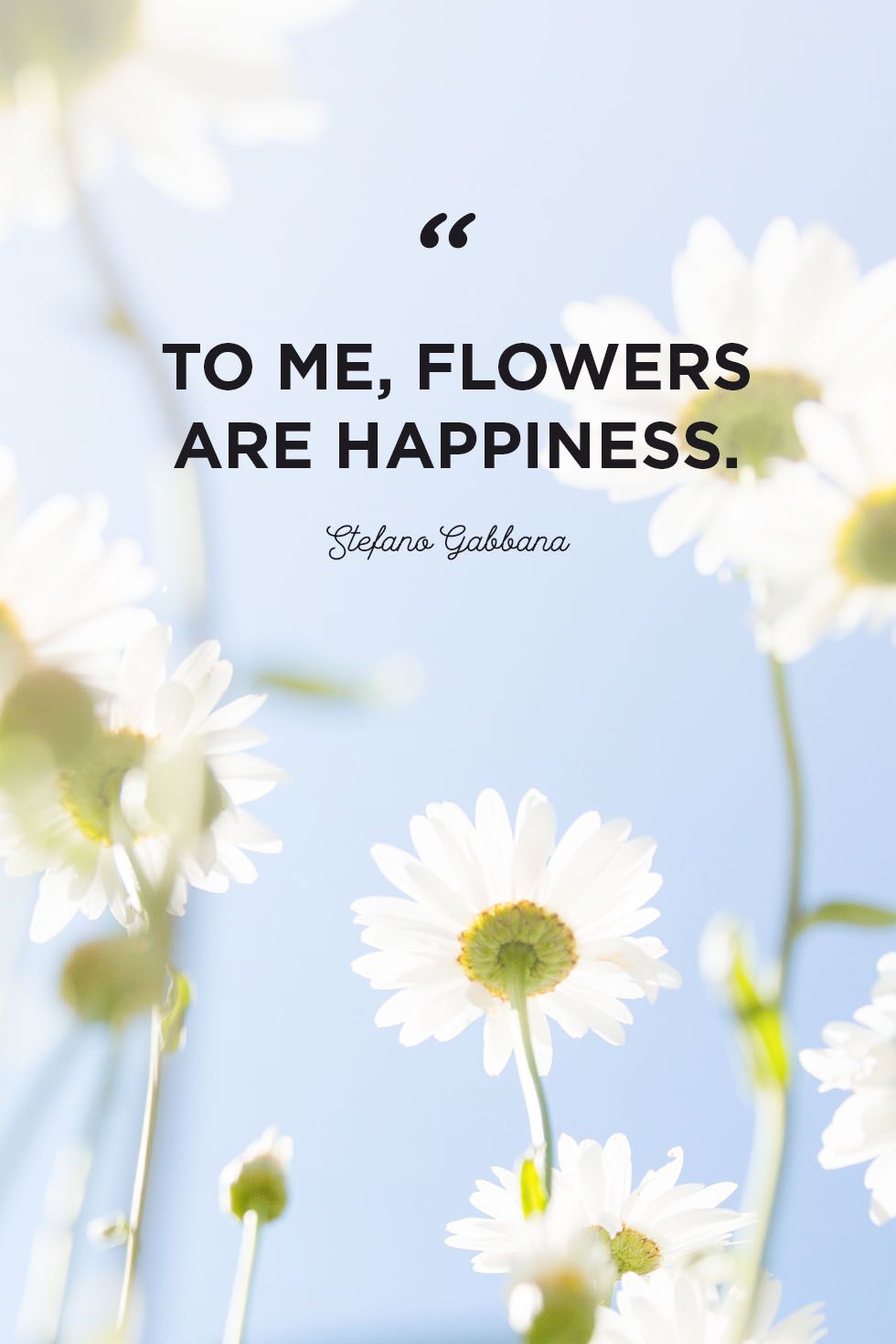 48 Inspirational Flower Quotes Cute Flower Sayings About Life And Love