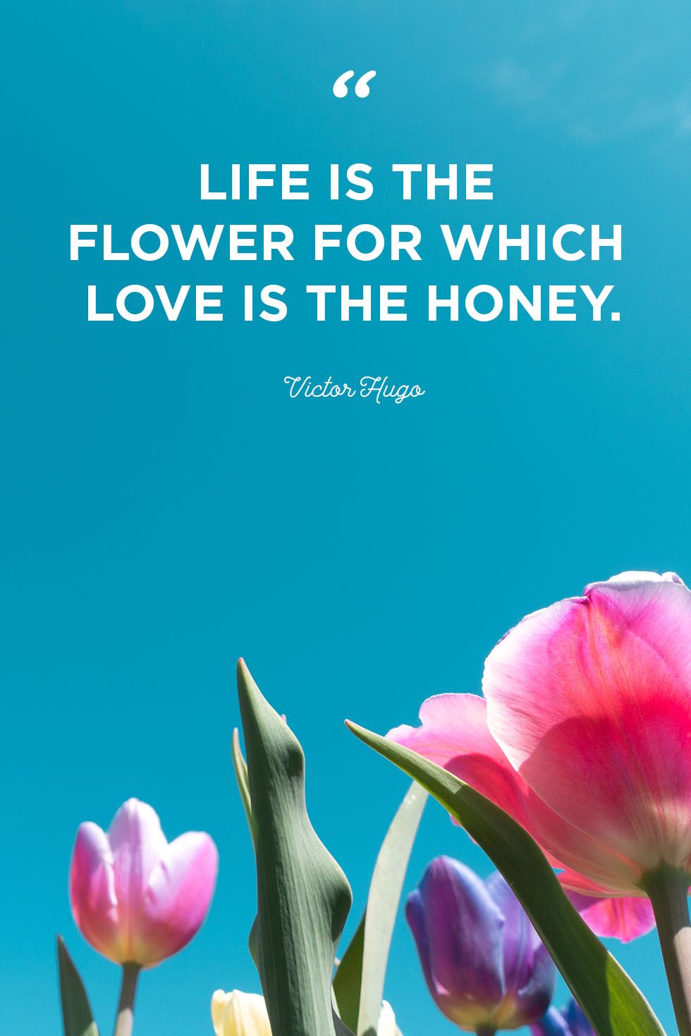 48 Inspirational Flower Quotes Cute Flower Sayings About Life And Love