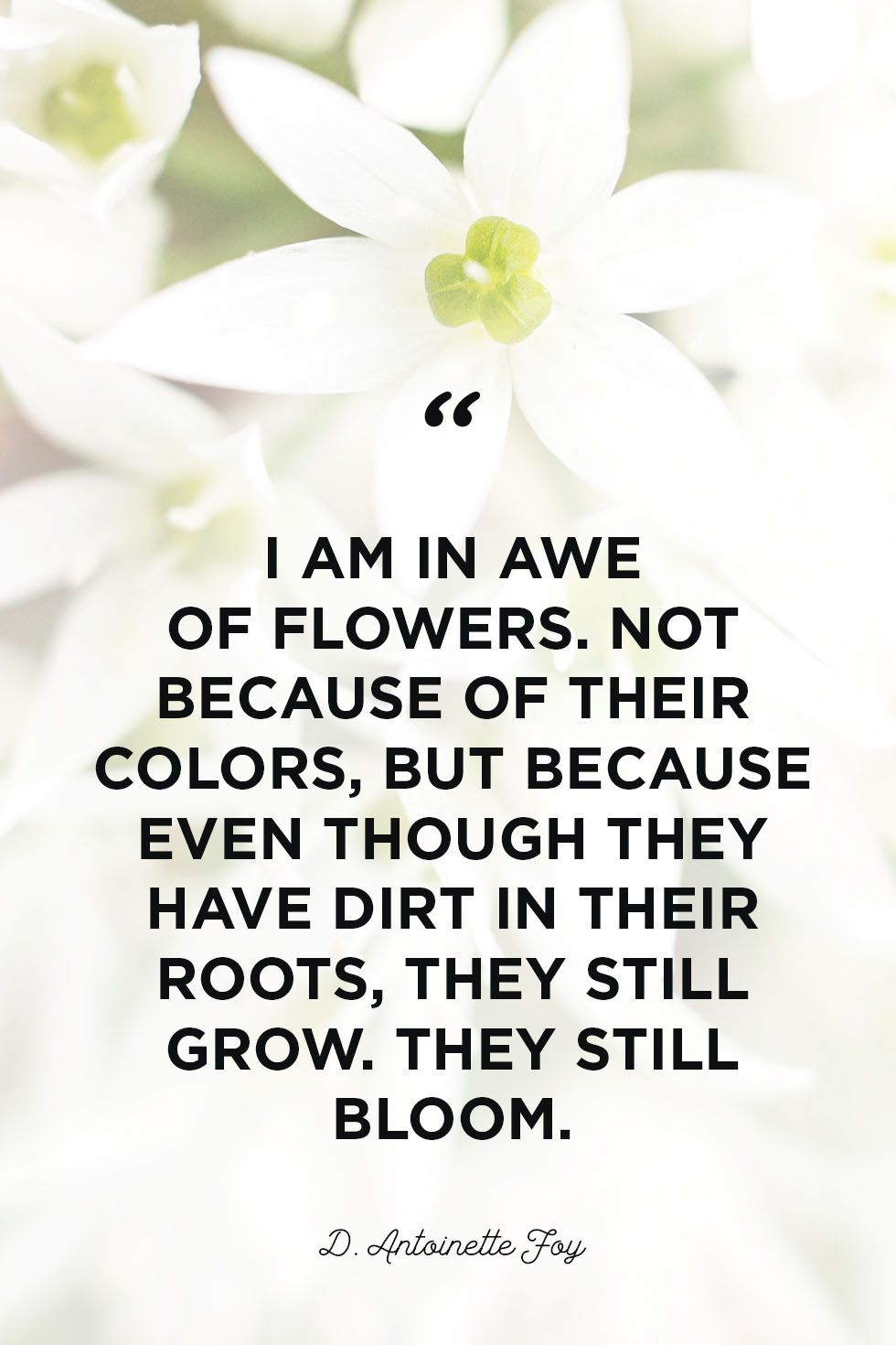 45 Inspirational Flower Quotes Cute Flower Sayings About Life And Love