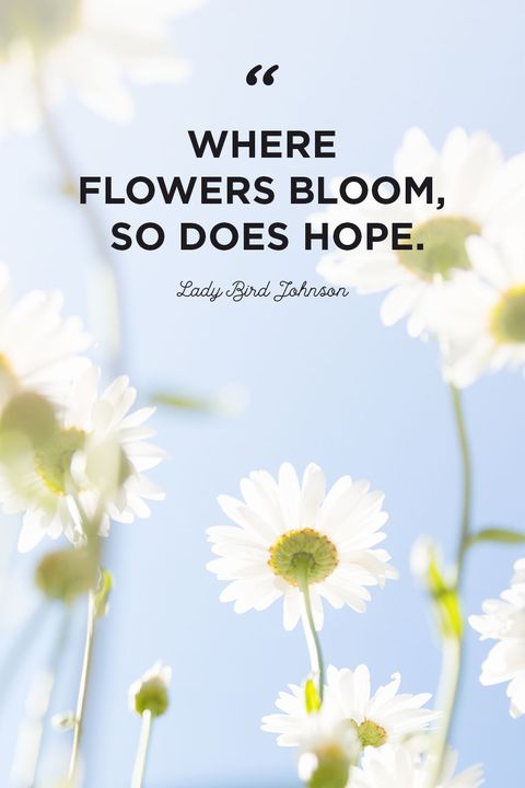 30 Inspirational Flower Quotes - Cute Flower Sayings About Life and Love