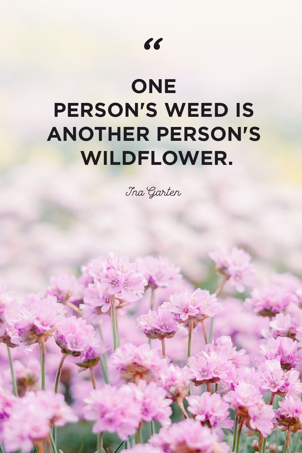 Image result for wildflowers quotes