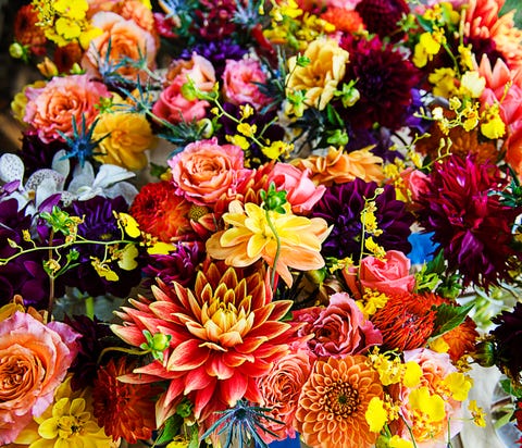 ストレス解消や鎮痛効果が期待できる偉大なる 花 のパワー その研究結果がアメリカ 台湾で発表される ストレス解消や鎮痛効果が期待できる偉大なる 花 のパワー その研究結果がアメリカ 台湾で発表される