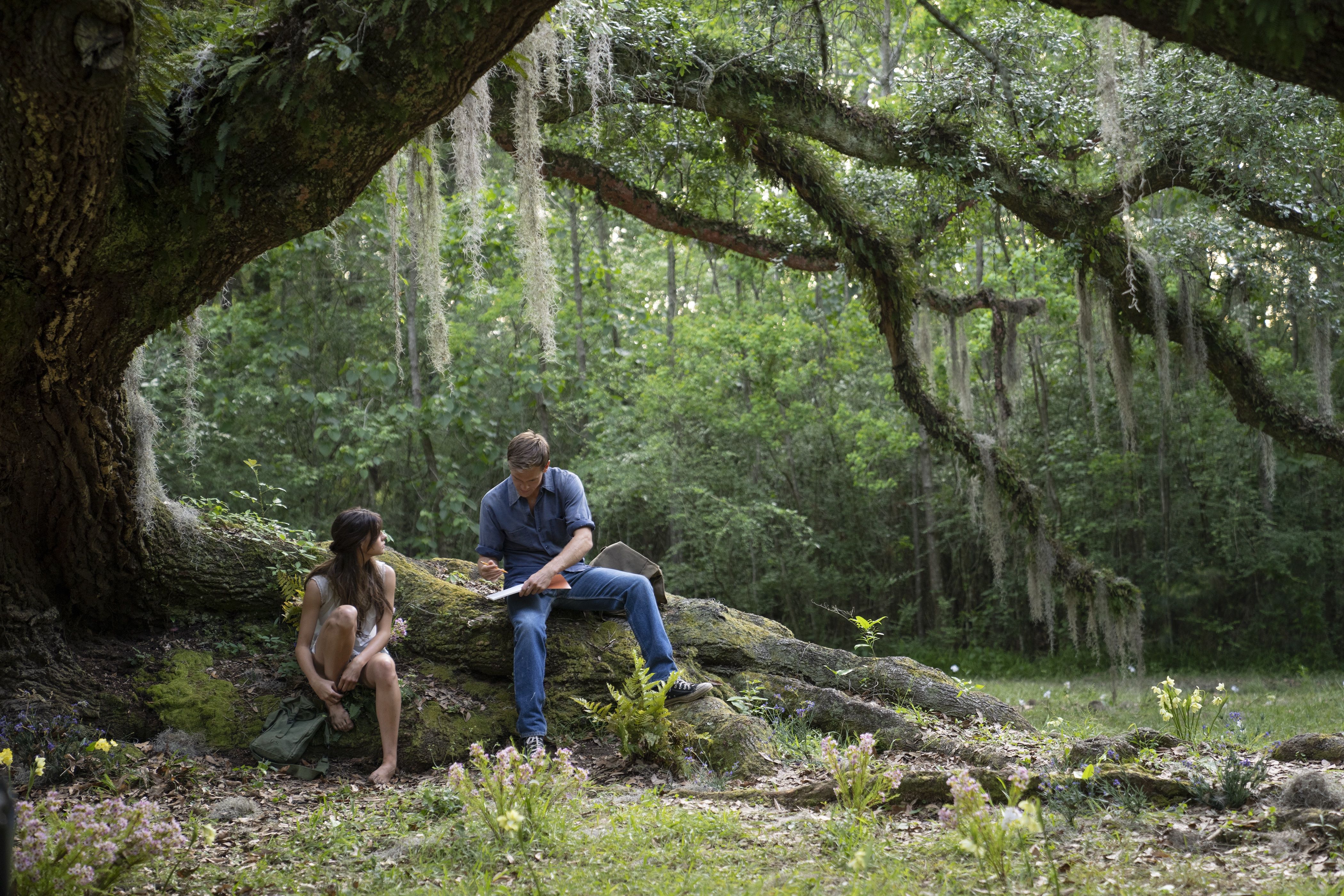 Where the Crawdads Sing Movie - News, Cast, Premiere Date