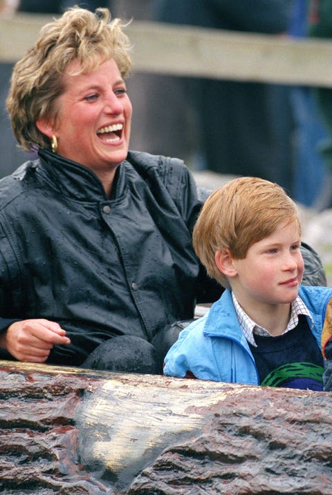 Diana, William & Harry At Thorpe Park diana, william harry at thorpe park