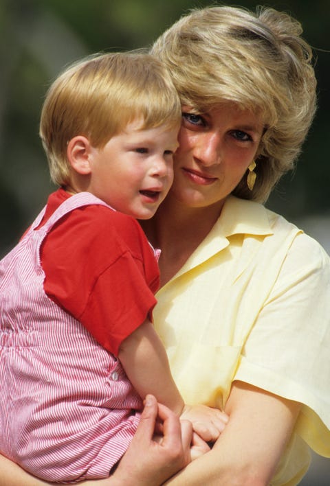Princess Diana and Prince Harry princess diana and prince harry