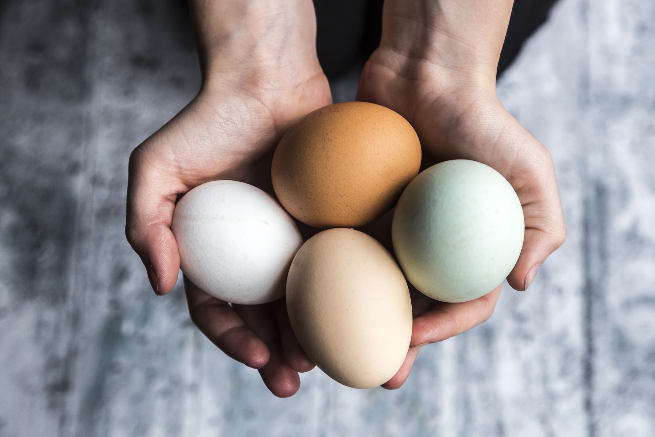 まさに完全食 卵 の栄養素と健康効果を栄養士が解説