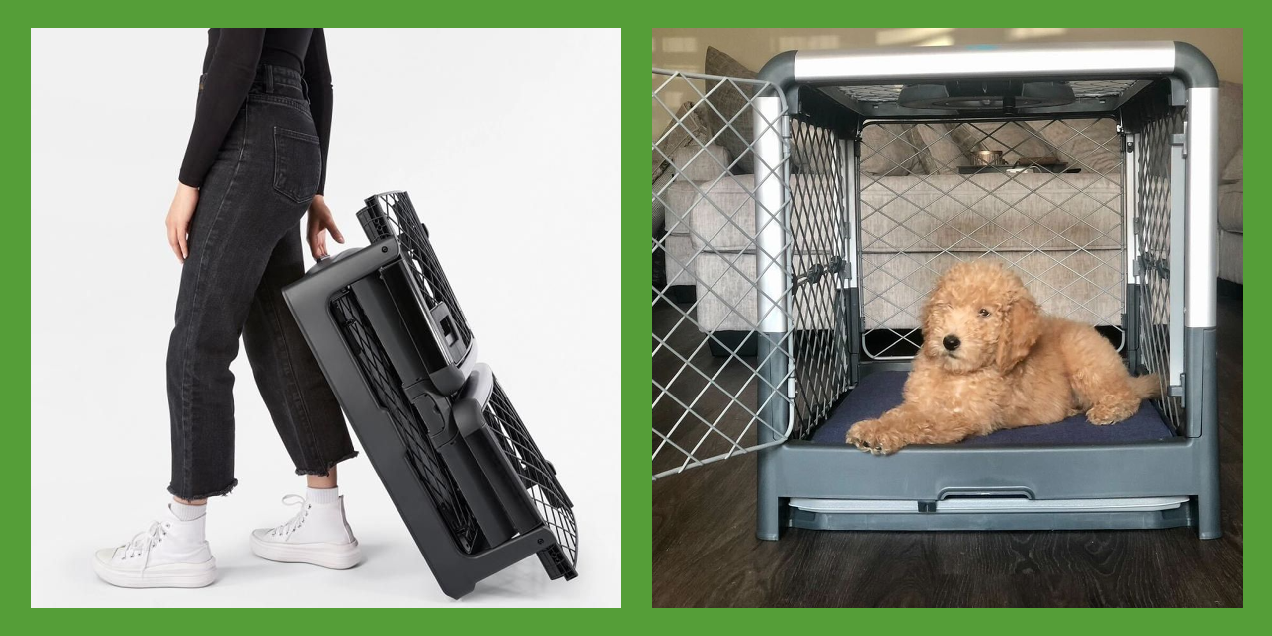 The Internet (and Our Staff) Is Obsessed With This Genius Collapsible Dog Crate