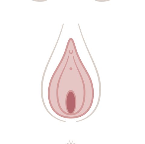 digital illustration of opening to vagina