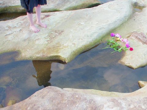 Water resources, Reflection, Foot, Barefoot, Toe, Slipper, Aquatic plant, Ankle, Pond, Flip-flops, 