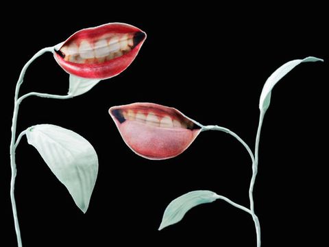Flowering plant, Tooth, Botany, Art, Tongue, Illustration, Painting, Drawing, Anthurium, Graphics, 