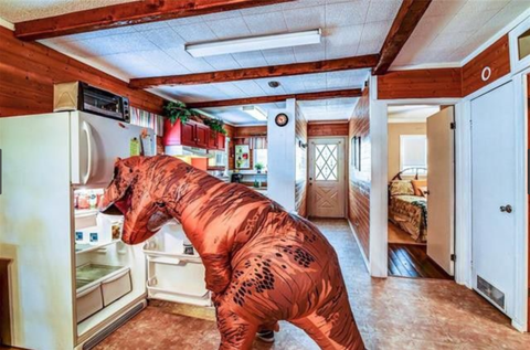 Dinosaur in Kitchen - Dinosaur Home Listing