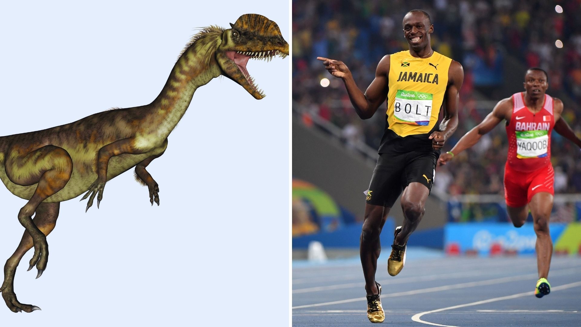 Quién ganaría una carrera entre Usain Bolt y un dinosaurio?