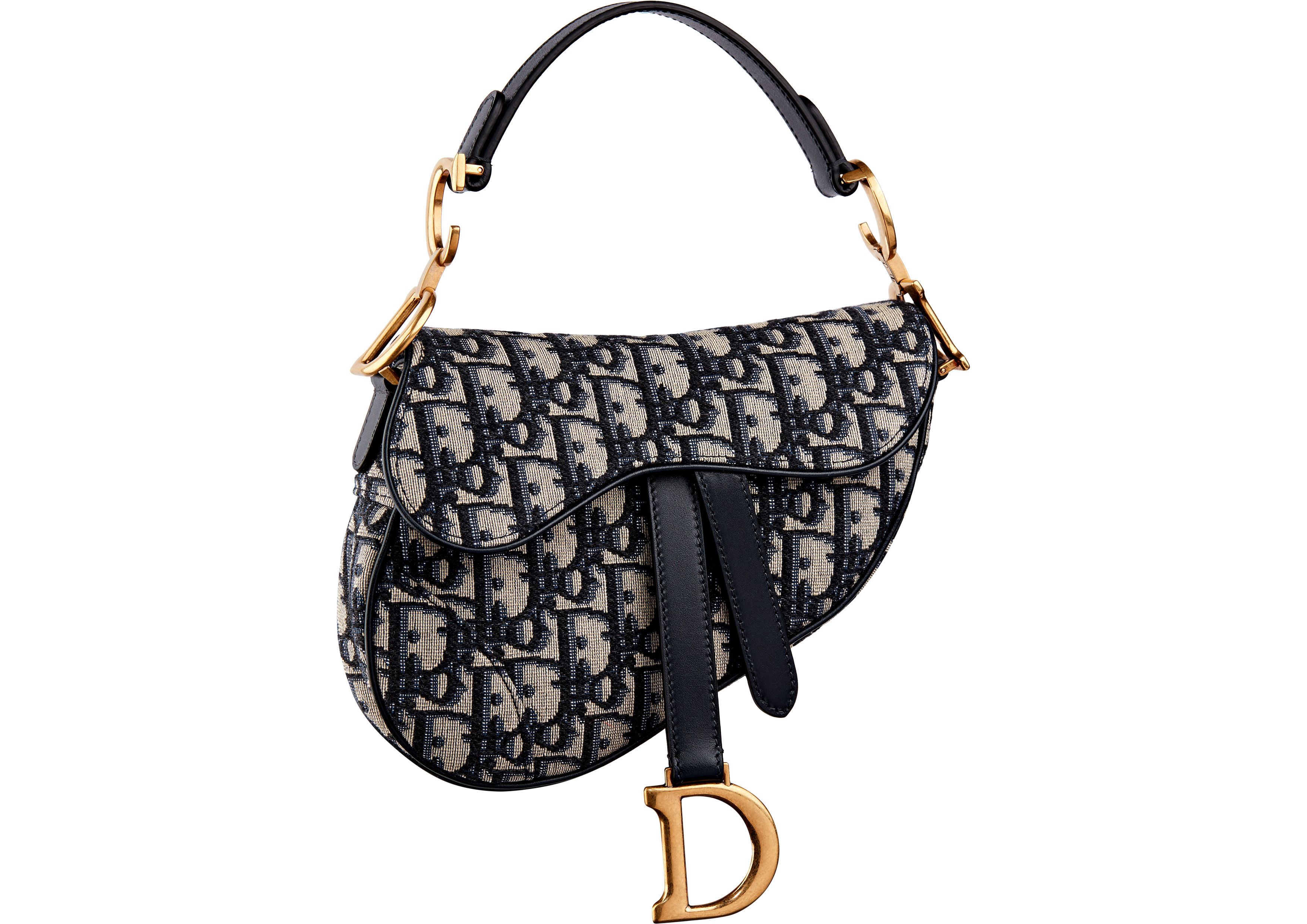 dior saddle bag print