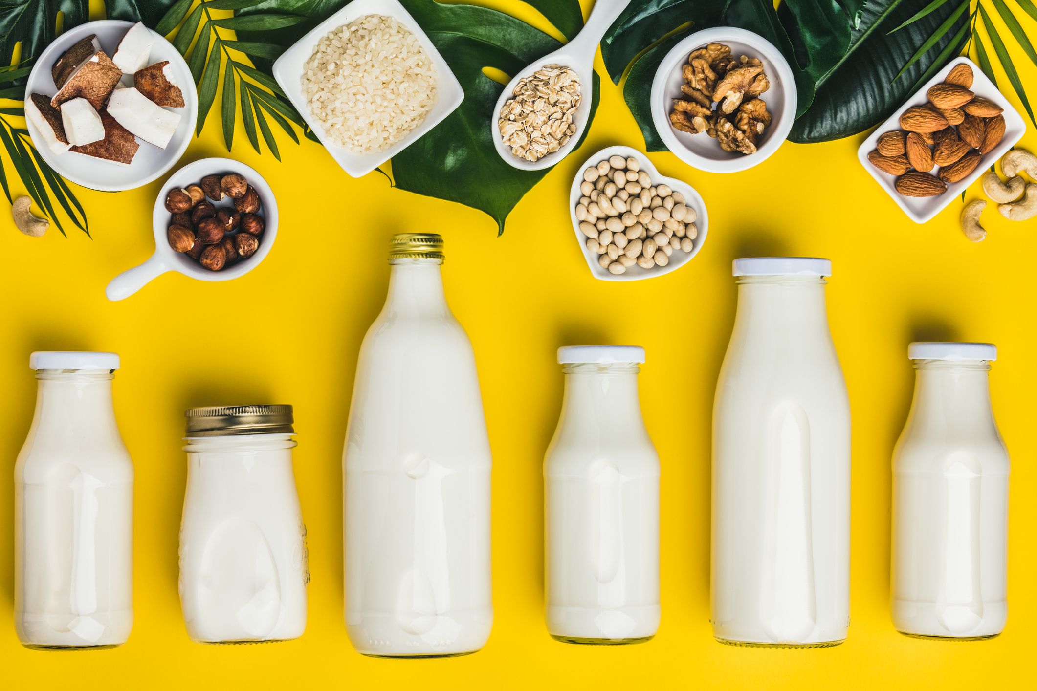 Research reveals plant-based milk with most nutritional value