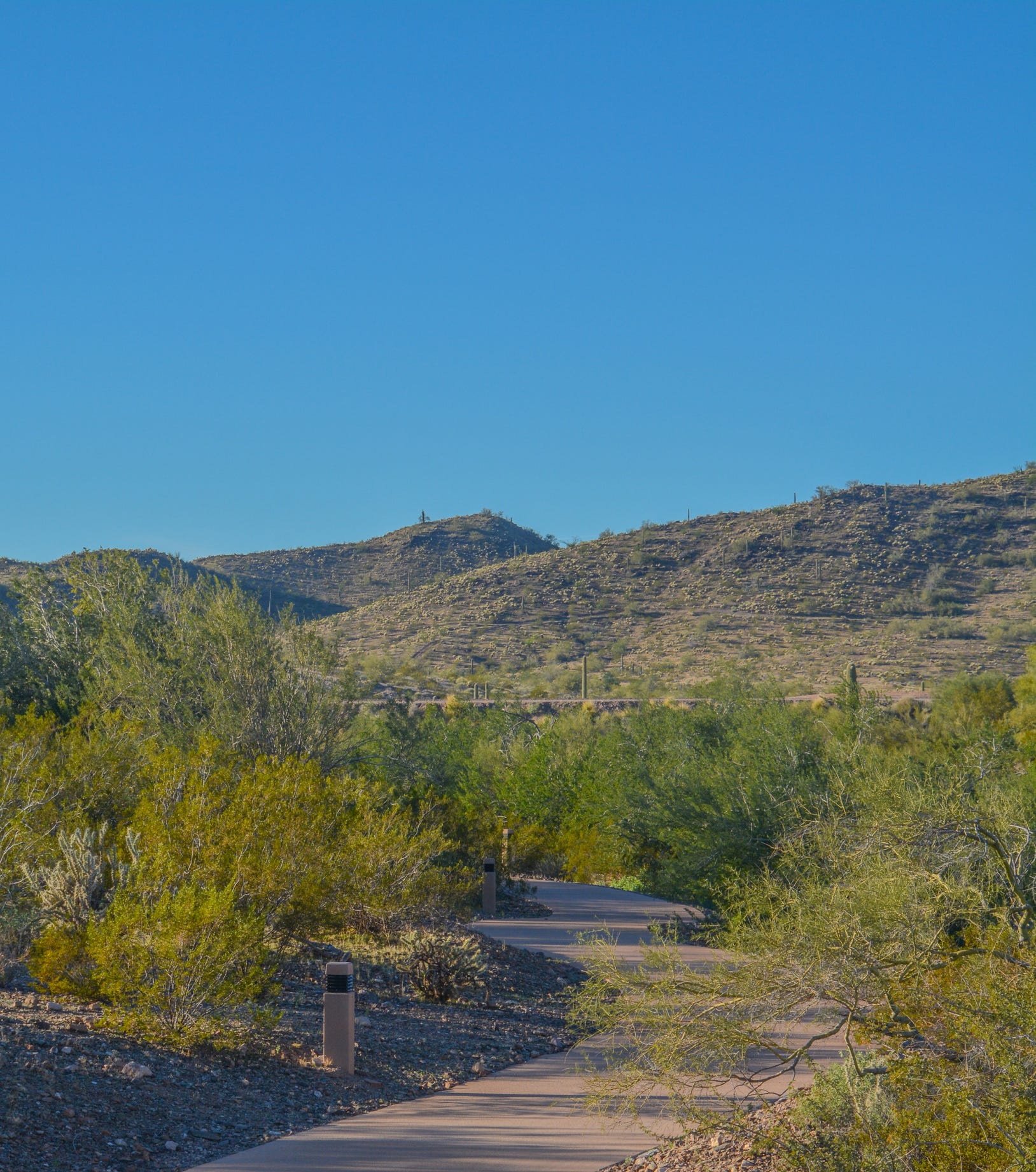Runner Attacked On Trail in Peoria, Arizona