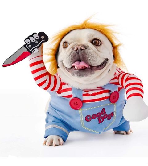 Imaginativo favorito solo 50 disfraces originales para perros por Halloween