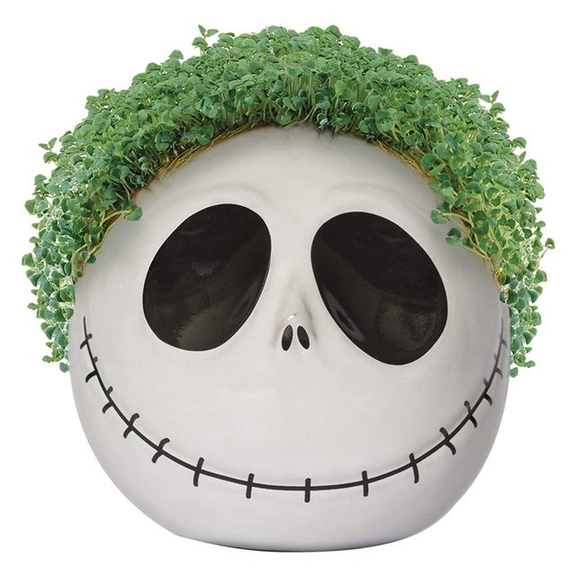 This Nightmare Before Christmas Chia Pet Lets You Grow Jack Skellington