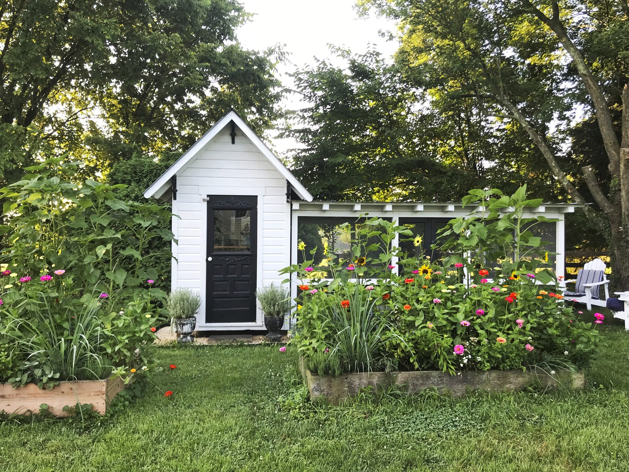 48 DIY Chicken Coops That Will Look So Cute in Your Backyard