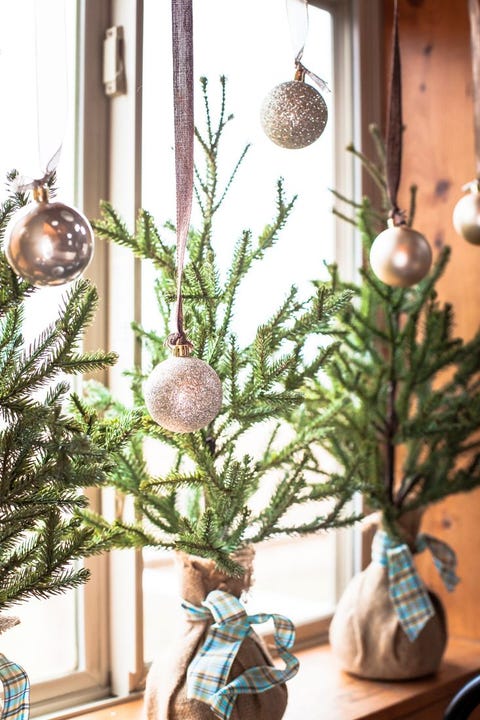 diy christmas window decorations ornaments and pine trees