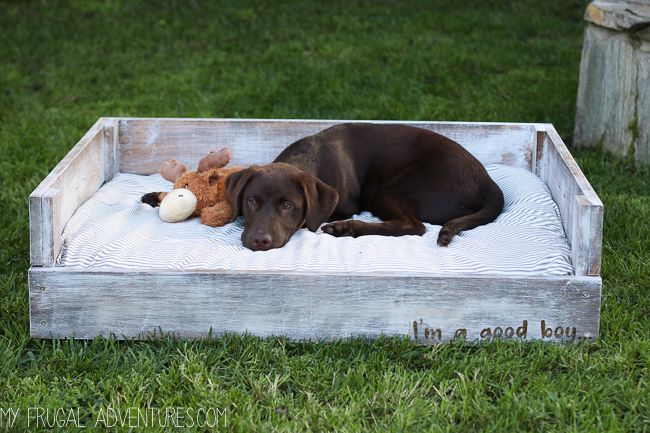 19 Adorable Diy Dog Beds How To Make